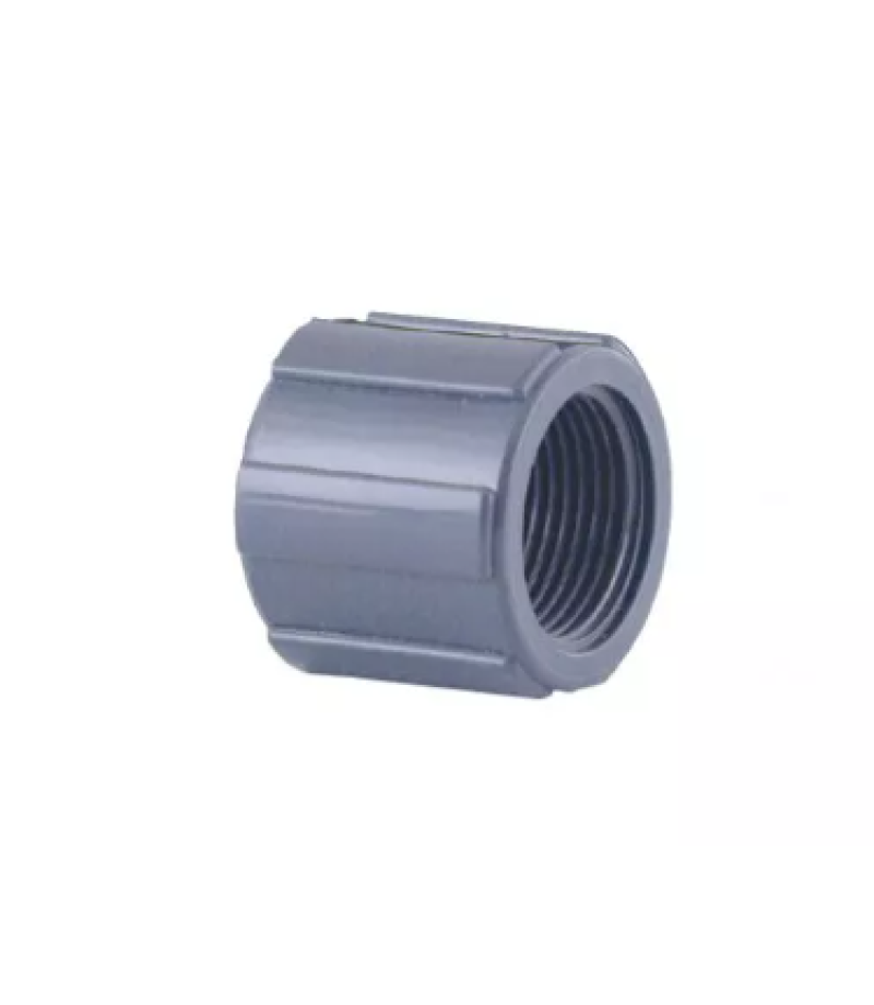 Mufa conectoare pentru crepina 3/4" - AstralPool
