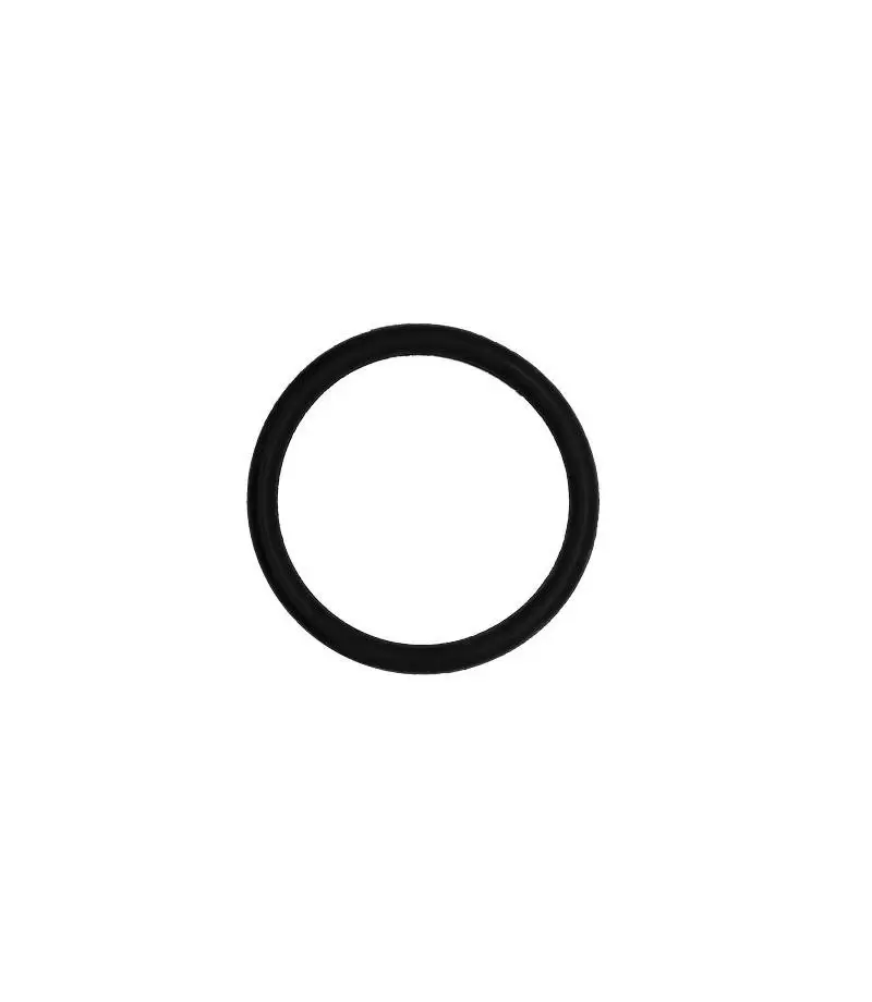 Garnitura O-ring 44 x 6 mm holder Electro - Elecro Engineering